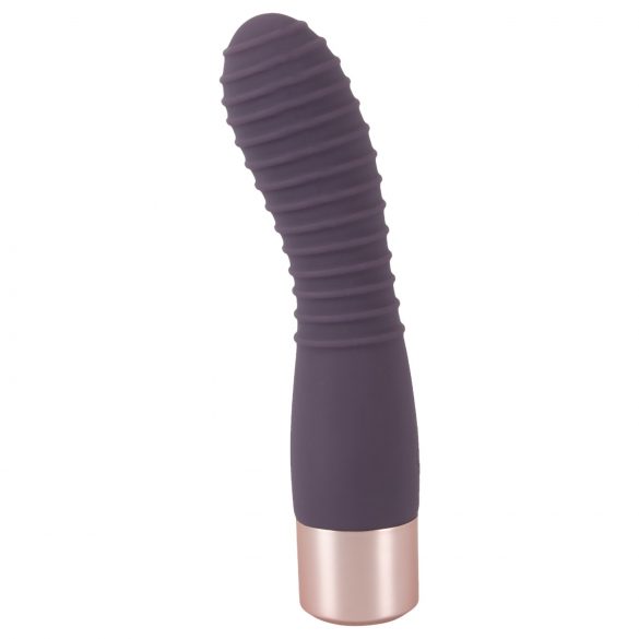 You2Toys Elegant Flexy - vibromasseur rechargeable et flexible pour point G (violet foncé)