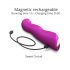 Love to Love Swap - Vibromasseur rechargeable pulsant pour point G (violet)