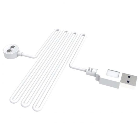 Câble de chargement USB magnétique Lovense (blanc)