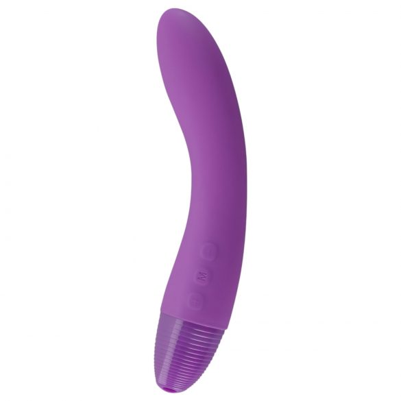 Picobong Zizo - Vibromasseur point G (violet)