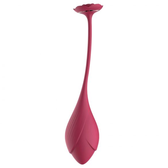 Raytech Rose - œuf vibrant rechargeable avec télécommande (rouge)