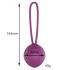 Engily Ross Leigh - boule de geisha en silicone (violet)