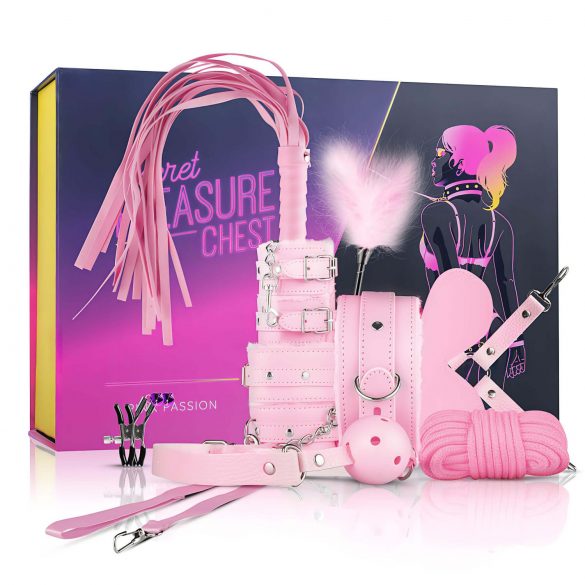 Coffre à Plaisir Secret - kit BDSM avancé - 14 pièces (rose)